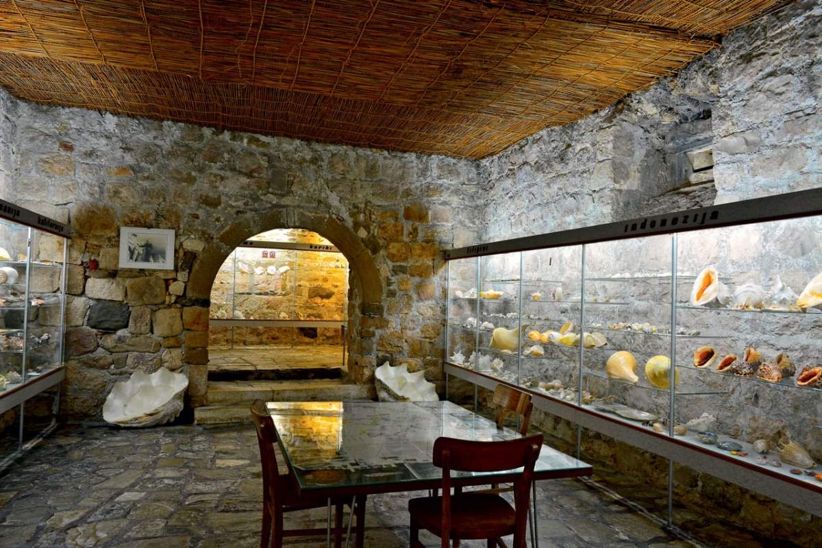 Indoors of malacological museum of Makarska